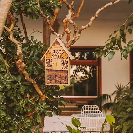 Bell Repos Hotel Platja d'Aro